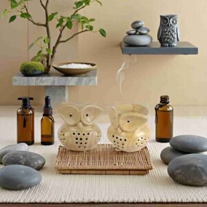 Fragrance Diffuser for Home