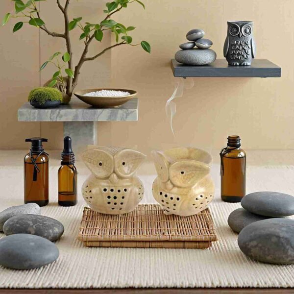 Fragrance Diffuser for Home