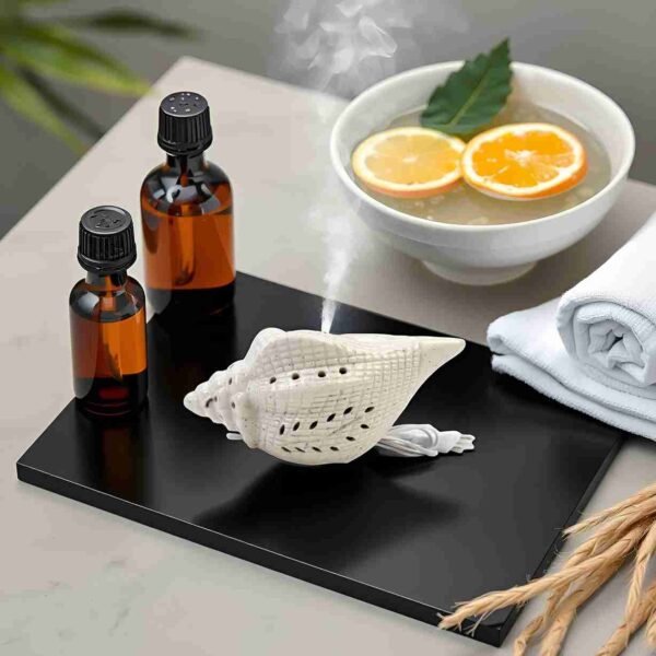 Glossy Ceramic Diffuser