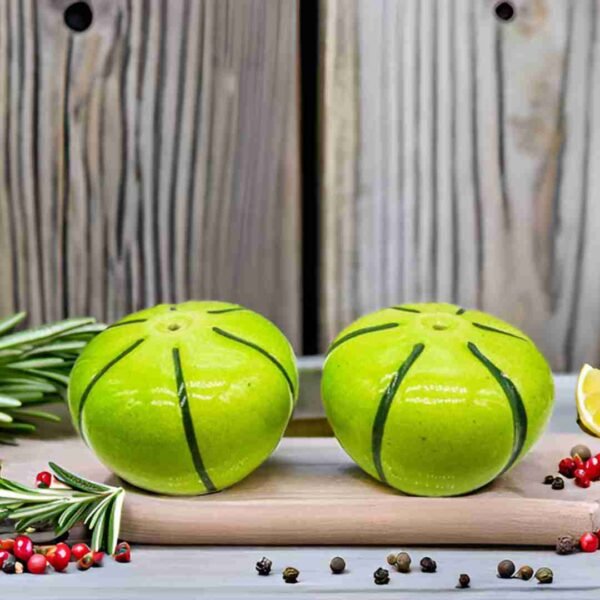 Musk Melon Ceramic Salt Shakers