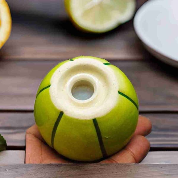 Stylish Salt & Pepper Dispenser Set