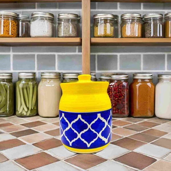 Unique ceramic jars for spices