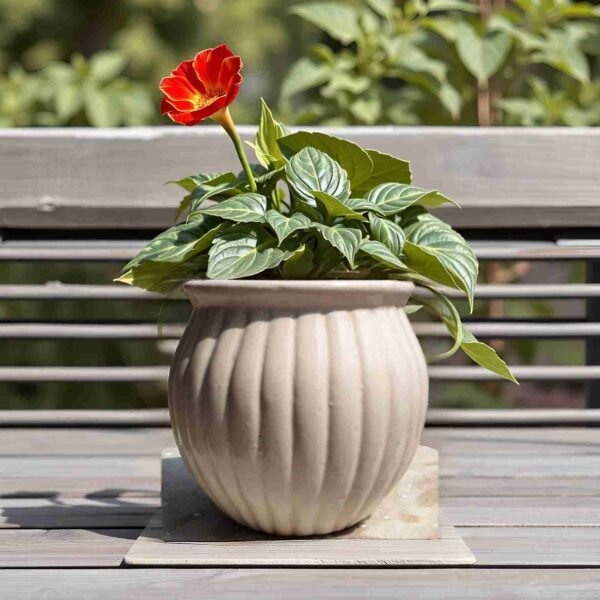 Indoor outdoor ceramic plant pot