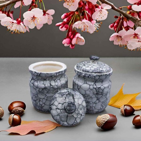 Ceramic Jars for Daily Use