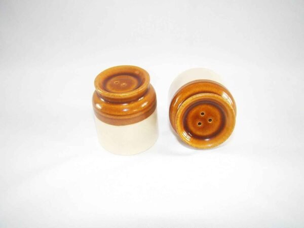 Stylish Brown & White Salt Jar Set